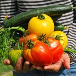 UF系列高頻變壓器